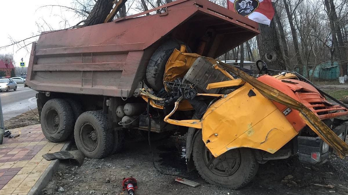 Обнародовано шокирующее видео падения дерева на грузовик в Ростове,  убившего двоих мужчин - KP.RU