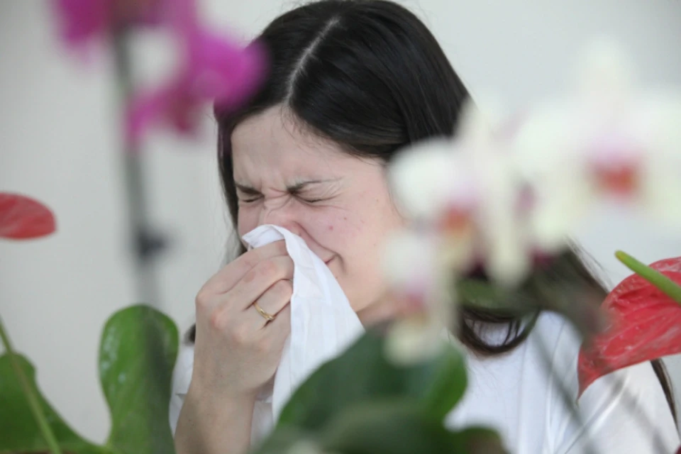 Сезонная аллергия в Хабаровске: как уберечься и где получить помощь
