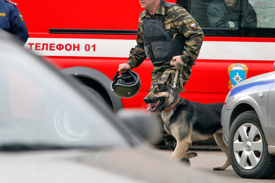 В Чечне при взрыве во время разминировании погибли два сапера