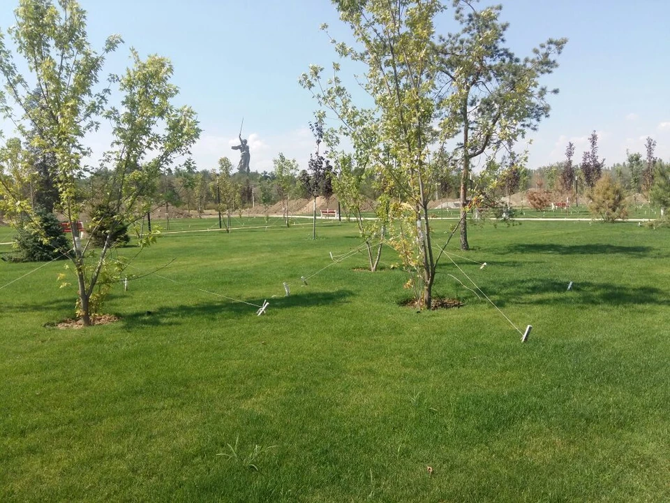 В парке на Мамаевом Кургане высадят 1700 новых деревьев.
