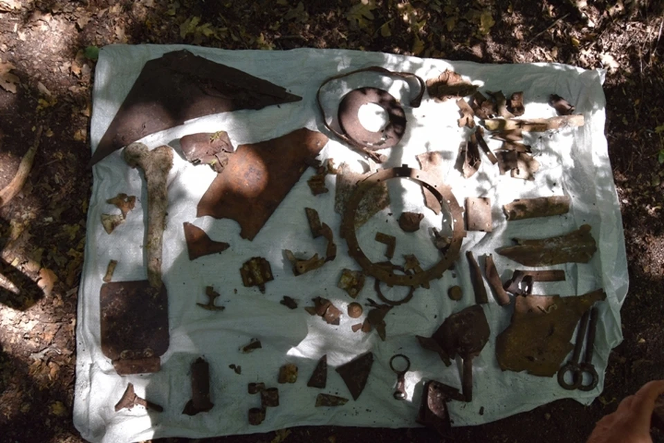 Уральские студенты нашли в Севастополе остатки штурмовика ИЛ-2 со времен мировой войны. Фото: пресс-служба Уральского аграрного университета