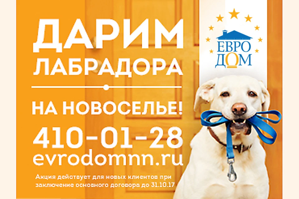 Компания «Евродом» дарит щенка лабрадора каждой семье, купившей таунхаус до 31 октября 2017 года. Фото предоставлено компанией «Евродом».