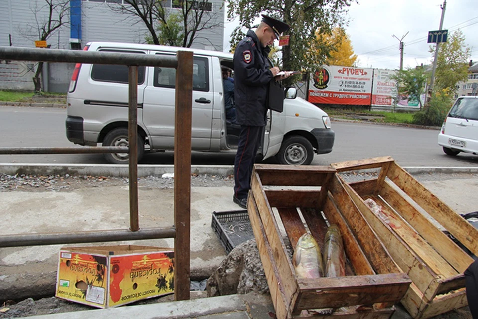 Хабаровские полицейские прикрыли две рыбные лавочки