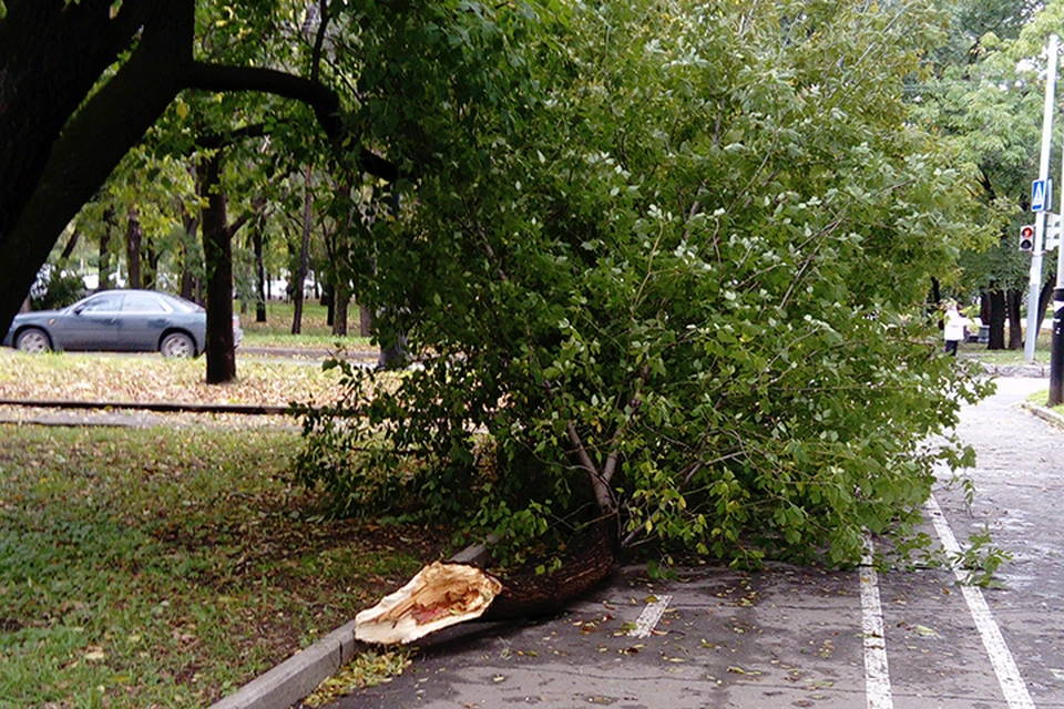 Хабаровский край восстанавливается от последствий мощного циклона, оставившего без света 40 населенных пунктов
