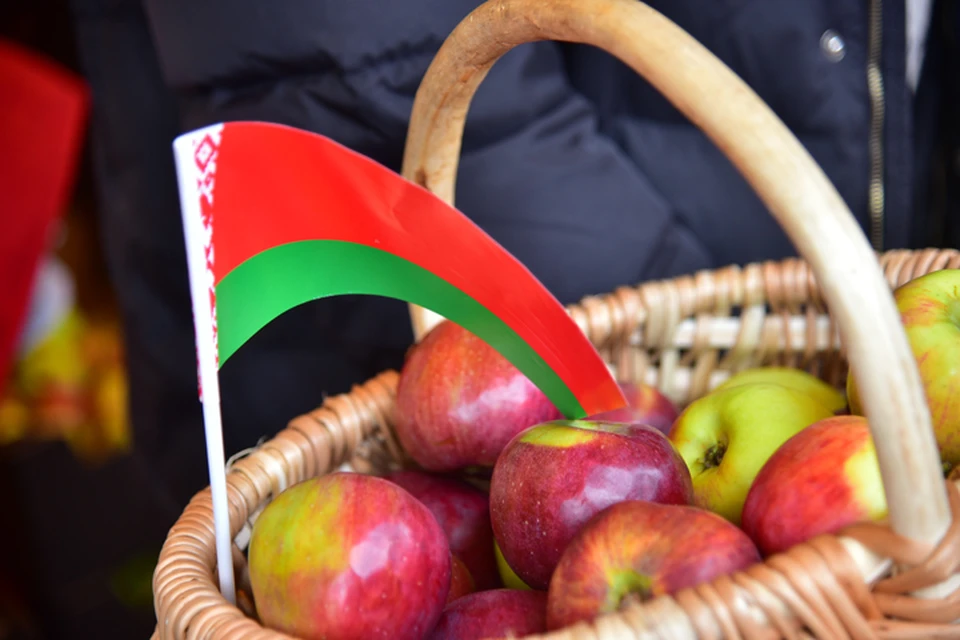 В Новосибирск привезли 17 тонн белорусских яблок, самый сладкий сорт - Белорусское Сладкое.