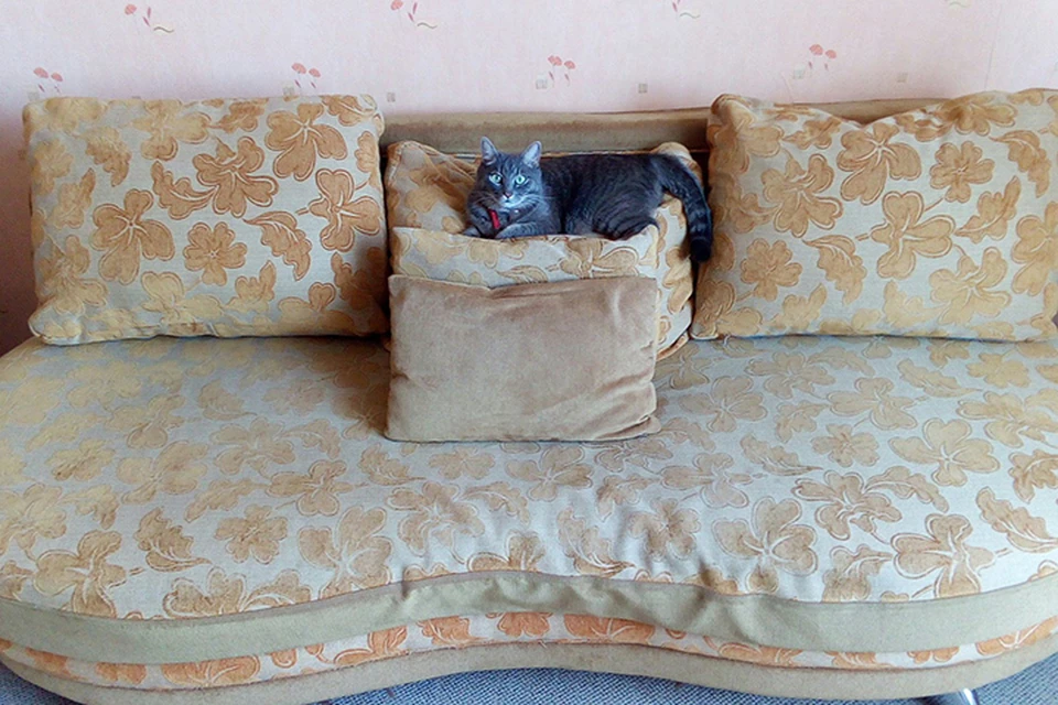 Ремонт мягкой мебели в Хабаровске: обновляем диван и кресла без лишнихзатрат - KP.RU