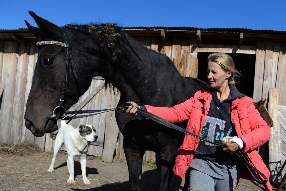 Руслана Фаер планирует заниматься разведением лошадей в рамках программы "Дальневосточный гектар". Фото: предоставлено АРЧК