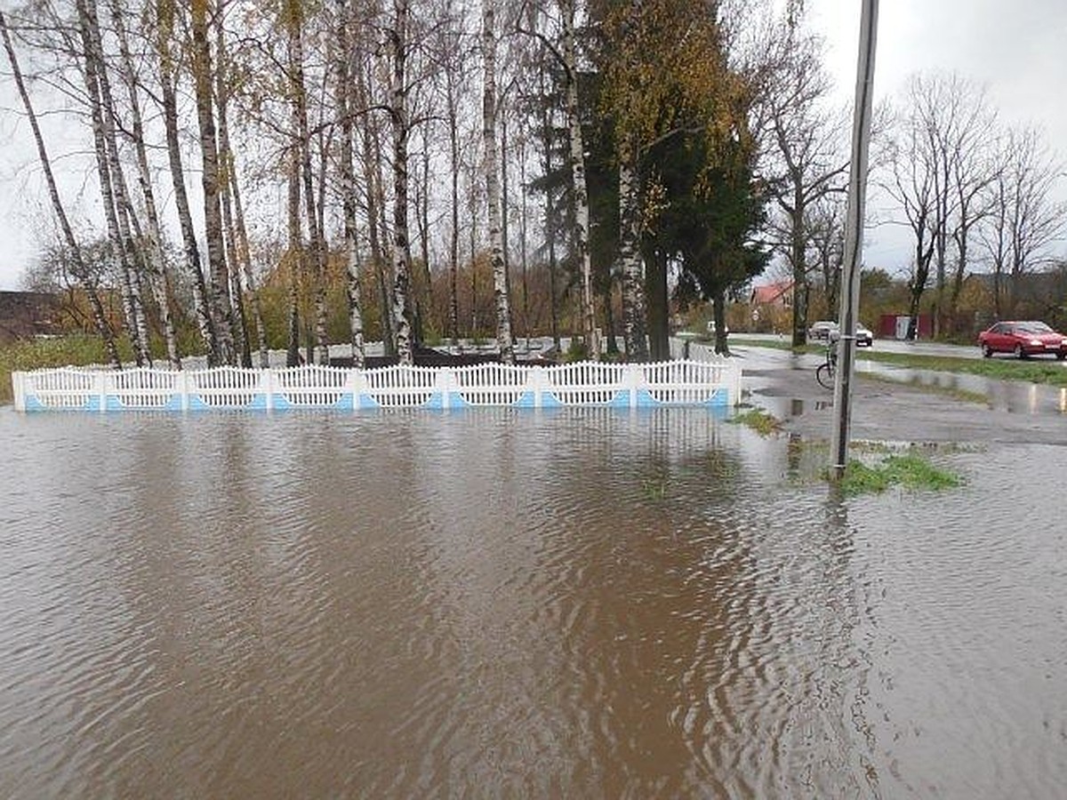 Затопленные поселки и 1900 человек без света: Что натворил ураган в  Калининграде - KP.RU