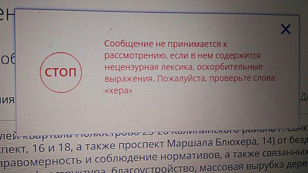 Блюхер как ругательство: сайт Госдумы не принял жалобу петербурженки из-за  названия проспекта - KP.RU