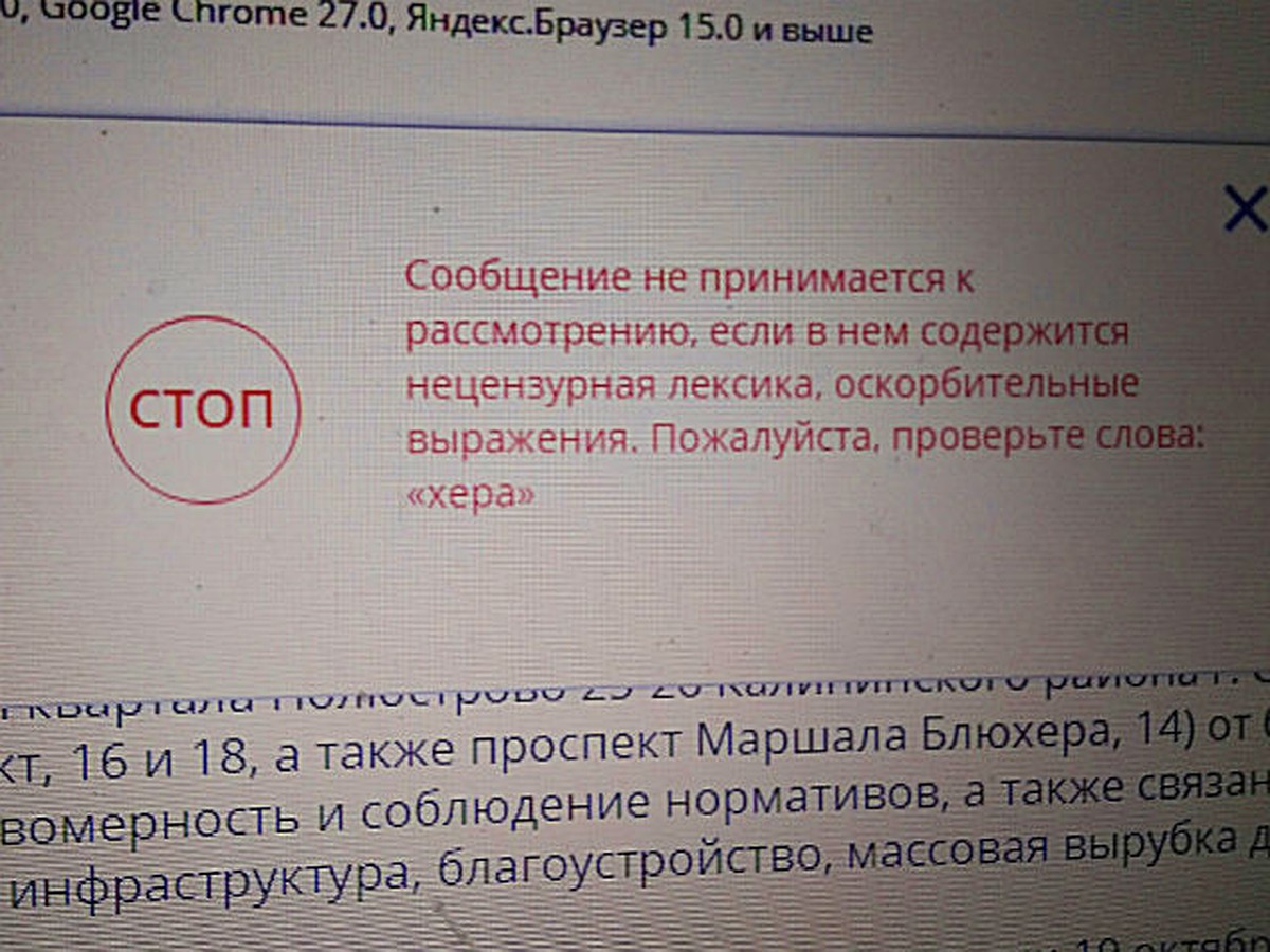 Блюхер как ругательство: сайт Госдумы не принял жалобу петербурженки из-за  названия проспекта - KP.RU