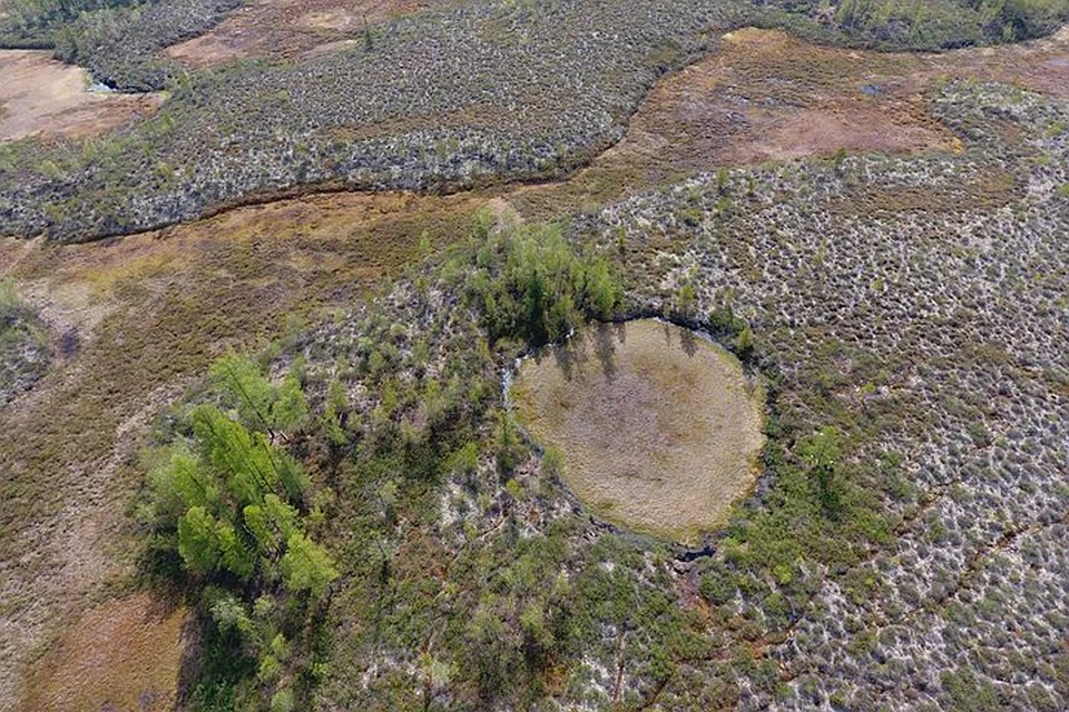Сусловскую воронку самый знаменитый исследователь Тунгусского метеорита Леонид Кулик считал кратером от падения небесного тела