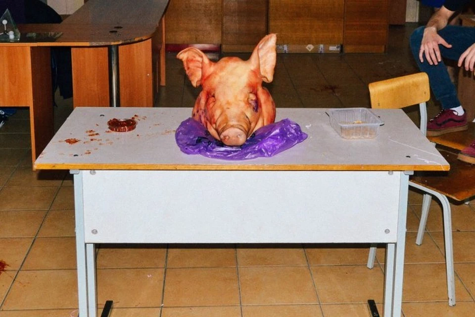 В одном из классов главным объектом ритуала стала свиная голова.