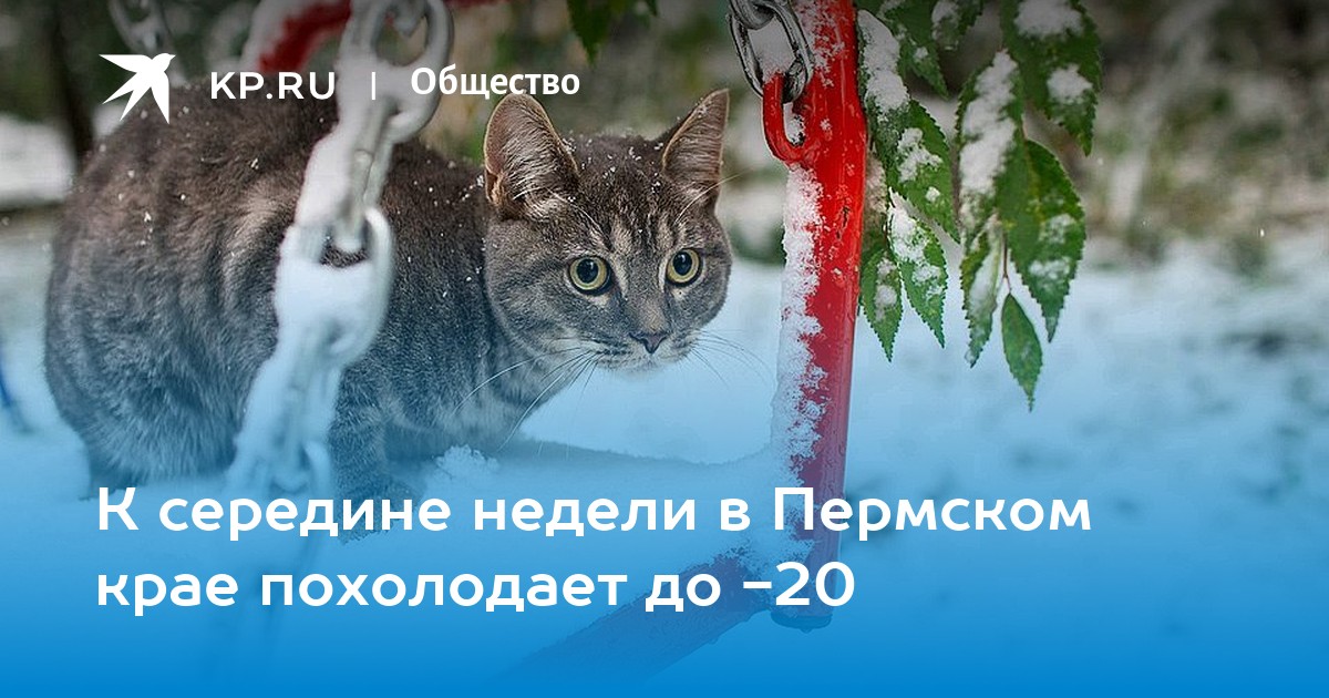 Когда потеплеет в пермском крае