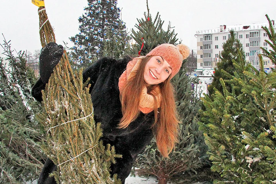 Новый год-2018: Где купить новогоднюю елку в Ижевске?