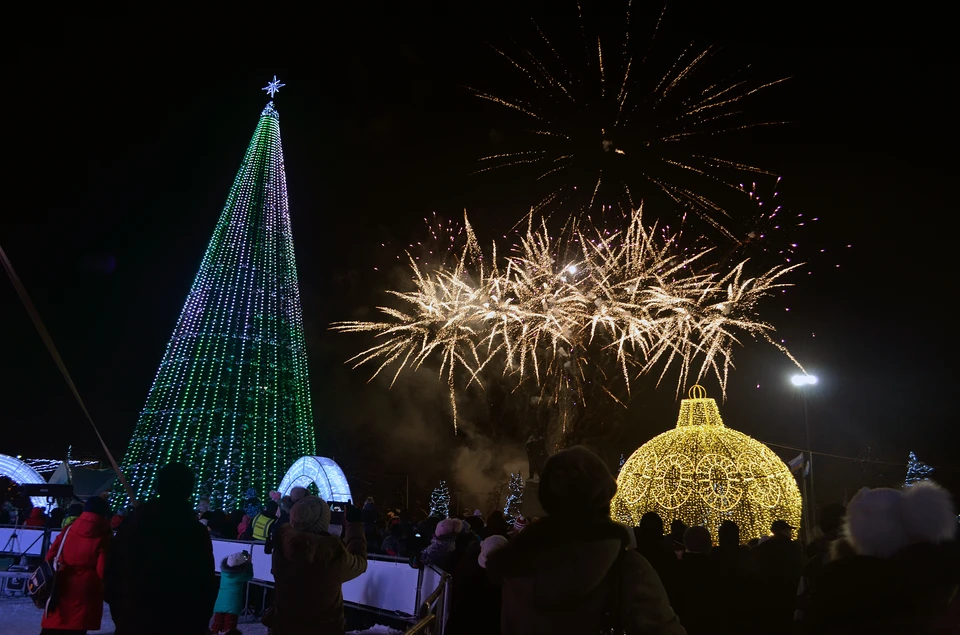 В Ульяновске открылась главная елка города.