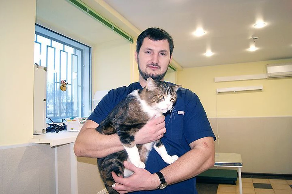 Кот Кеша на руках врача Евгения Чухлова