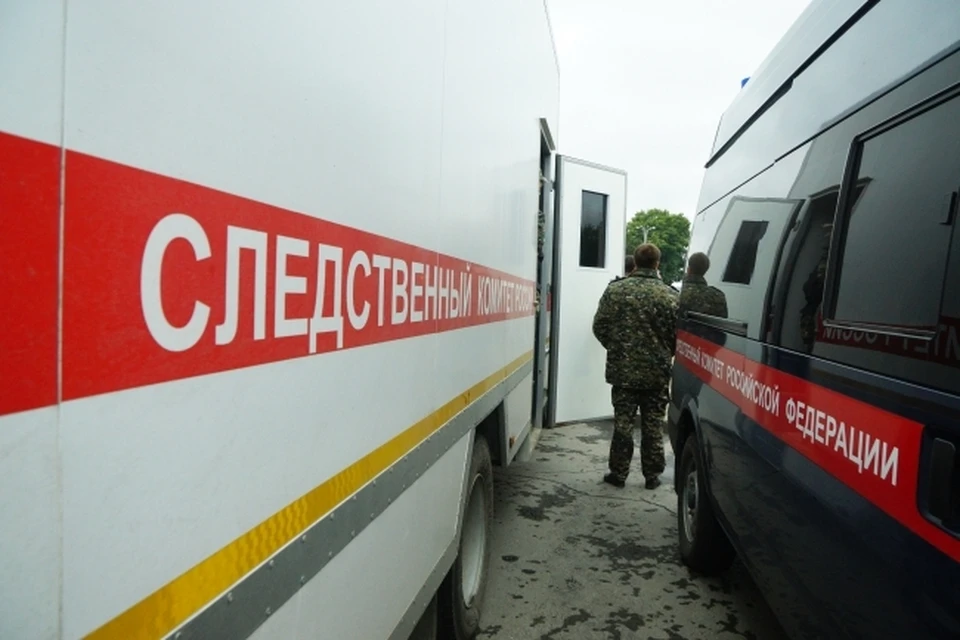 В деле сейчас разбирается следственный комитет