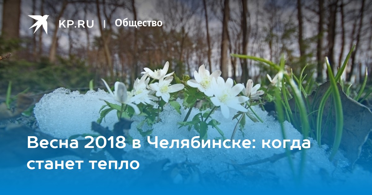 Какой будет погода весной года. Ждать ли ранней весны в этом году - 26 февраля - НГС24