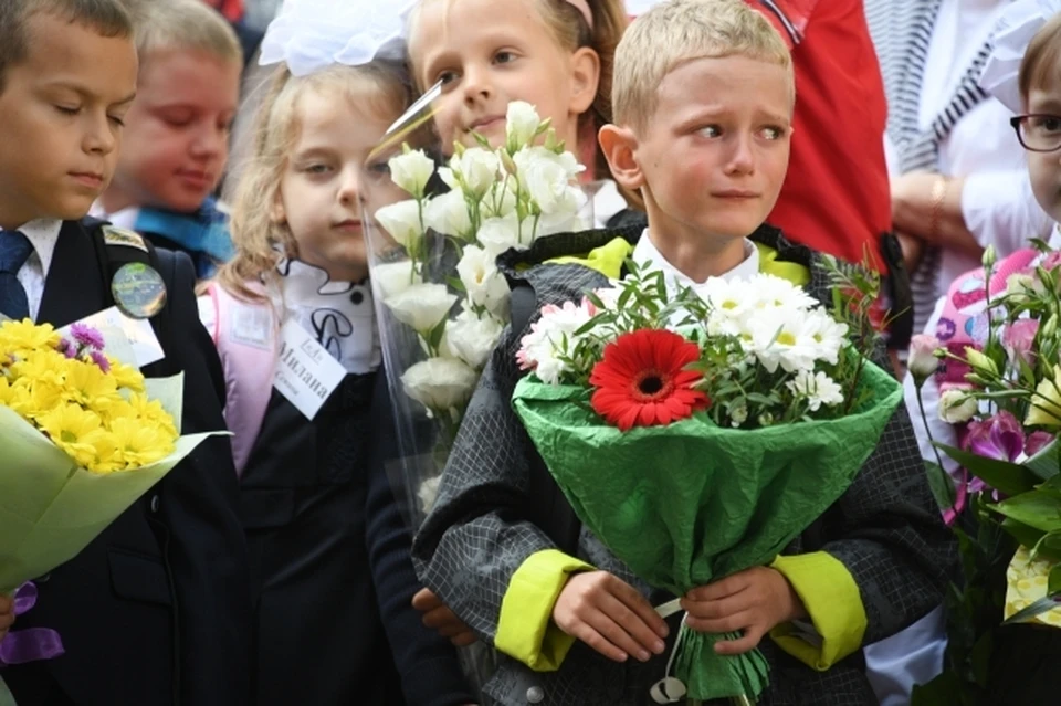 Не все ребята попадут в школу своей мечты.