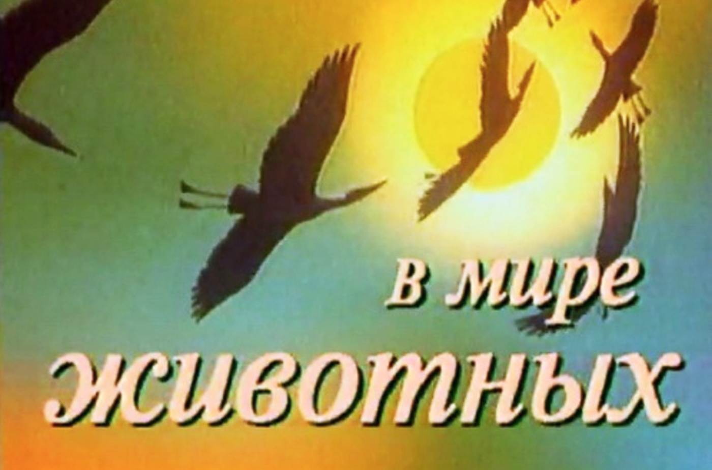 Классическая заставка передачи