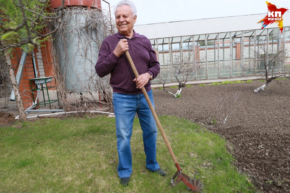 В свои 78 лет Александр Назарчук весь огород обрабатывает скобой - ручным культиватором.
