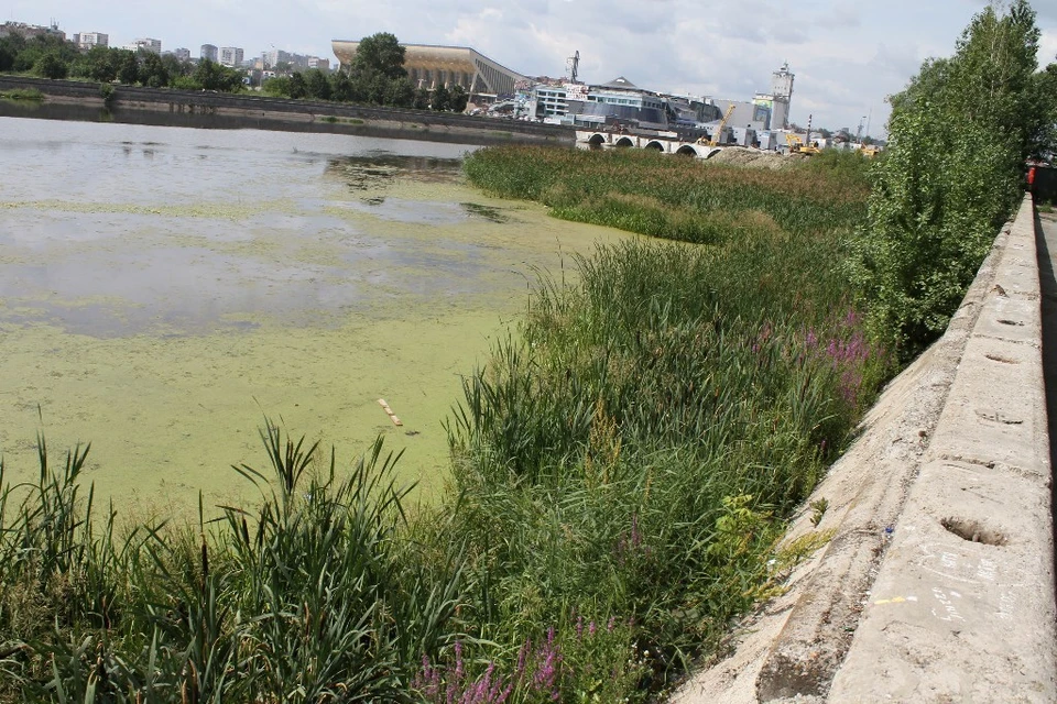 Чиновники обещают уже в этом году заметно почистить реку.