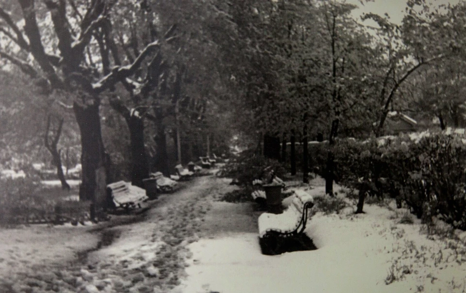 В мае 1960 в Перми выпал снег.