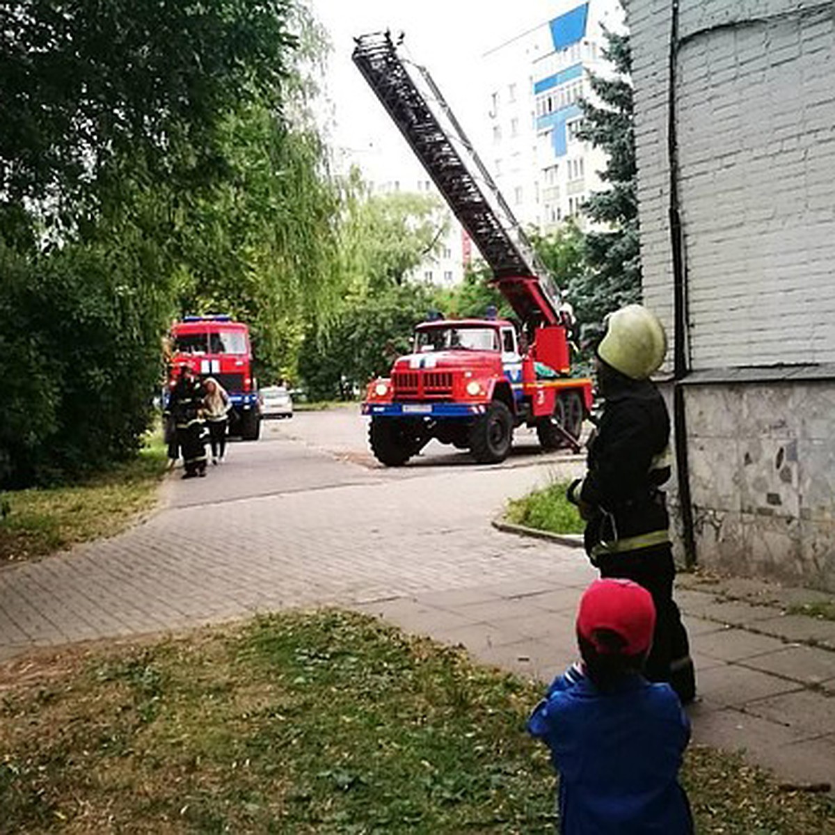 В Минске сотрудники МЧС спасли застрявшую в ветках ворону - KP.RU