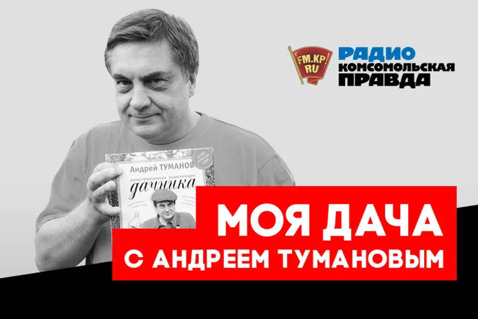 Дачные лайфхаки от главного дачника страны Андрея Туманова