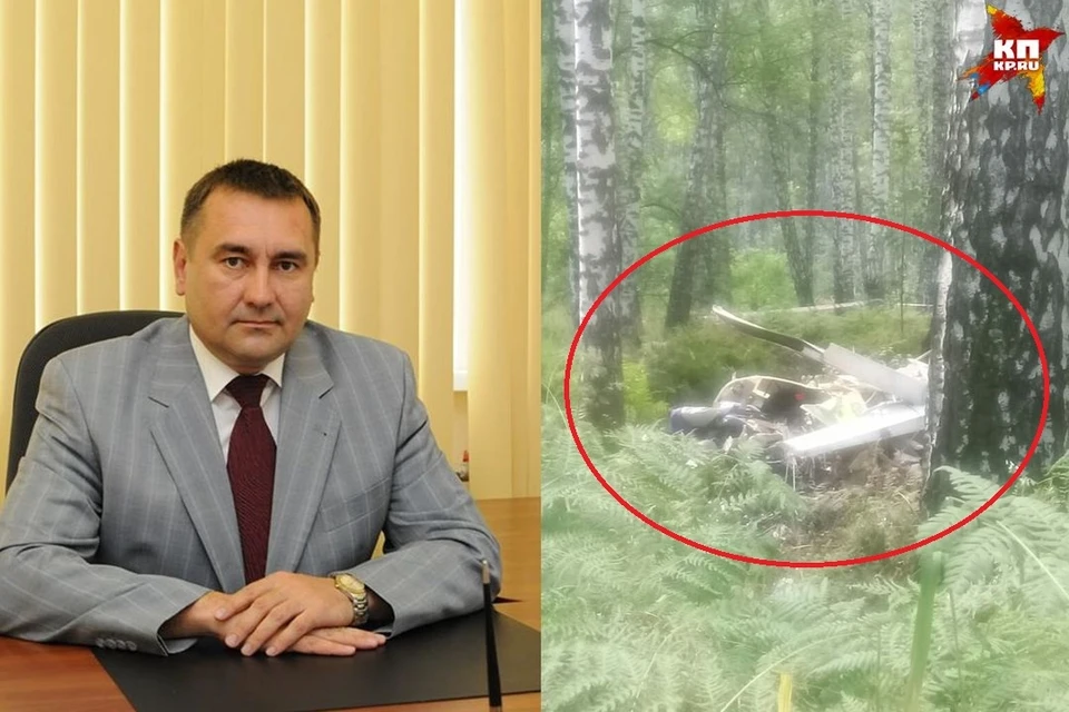 Обломки самолета были найдены в лесу.
