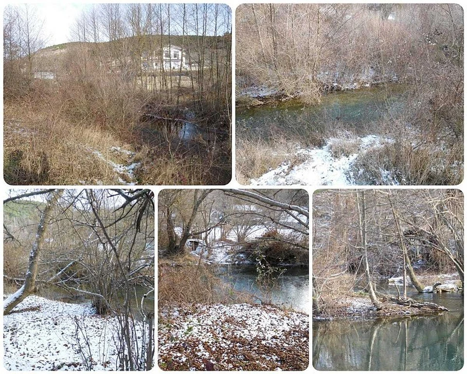 Состояние русла реки Черная