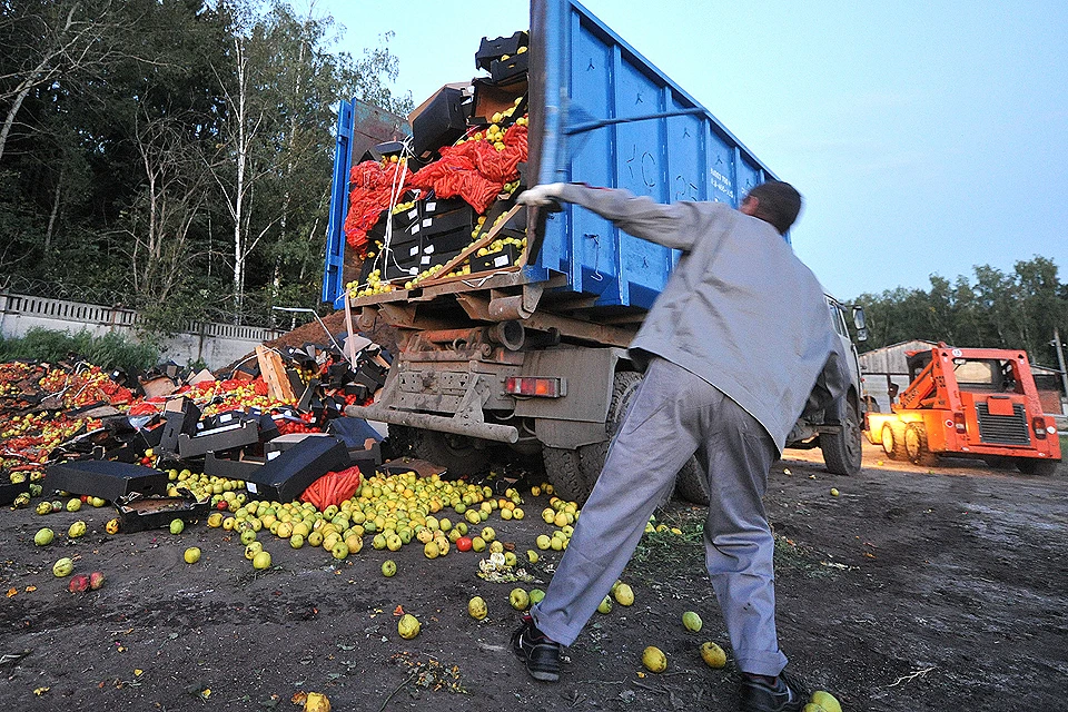 Уничтожение "санкционных" польских яблок, лето 2015 года.