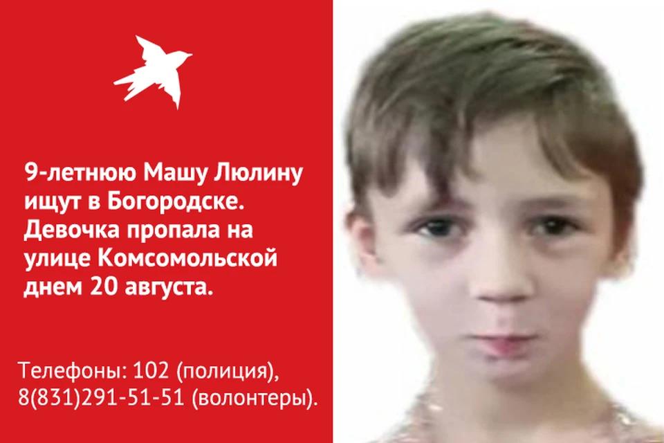 Пропавшую 9-летнюю Машу Люлину ищут в Нижегородской области