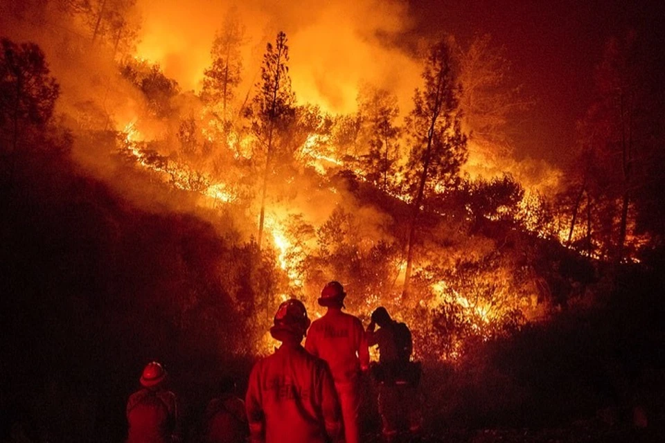 Лесные пожары не успевают тушить. Они возникают вновь и вновь.