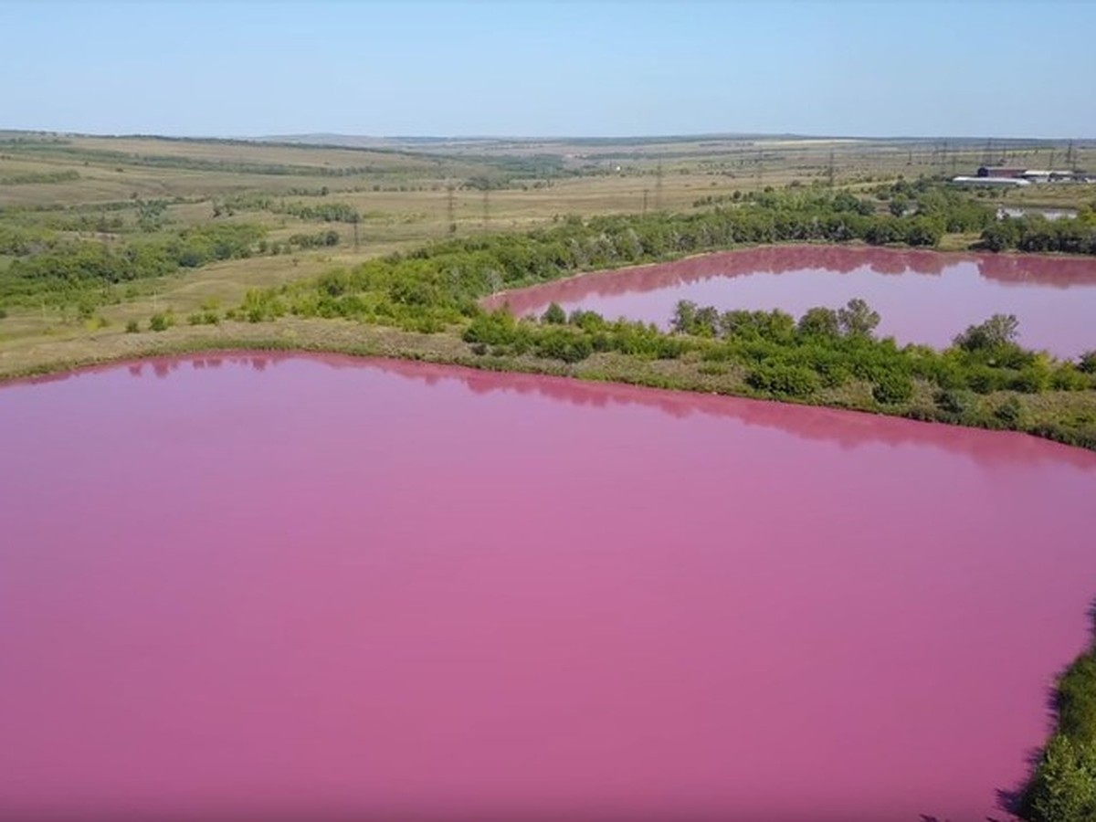 Самарская область, Кинельский район, с.Алексеевка, розовые озера