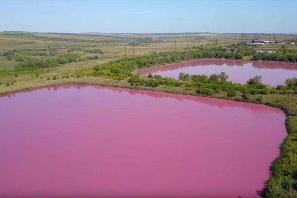 Водоем который окрашивается в нежно розовый цвет
