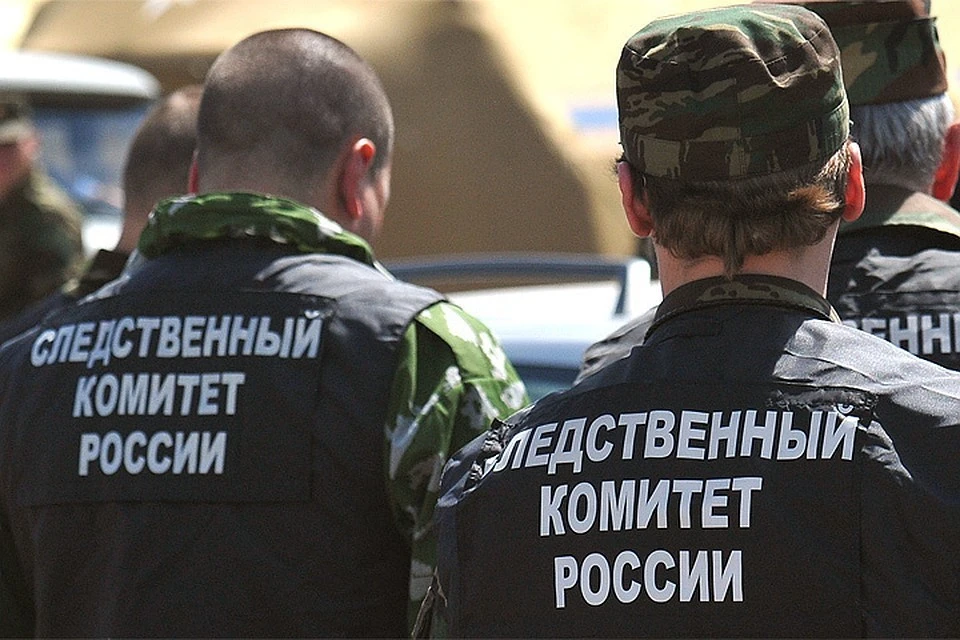 Следователи опровергли информацию о массовом похищении детей в Нижегородской области