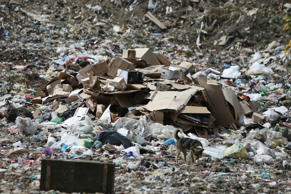 В Хабаровском крае построят 79 объектов для уничтожения мусора