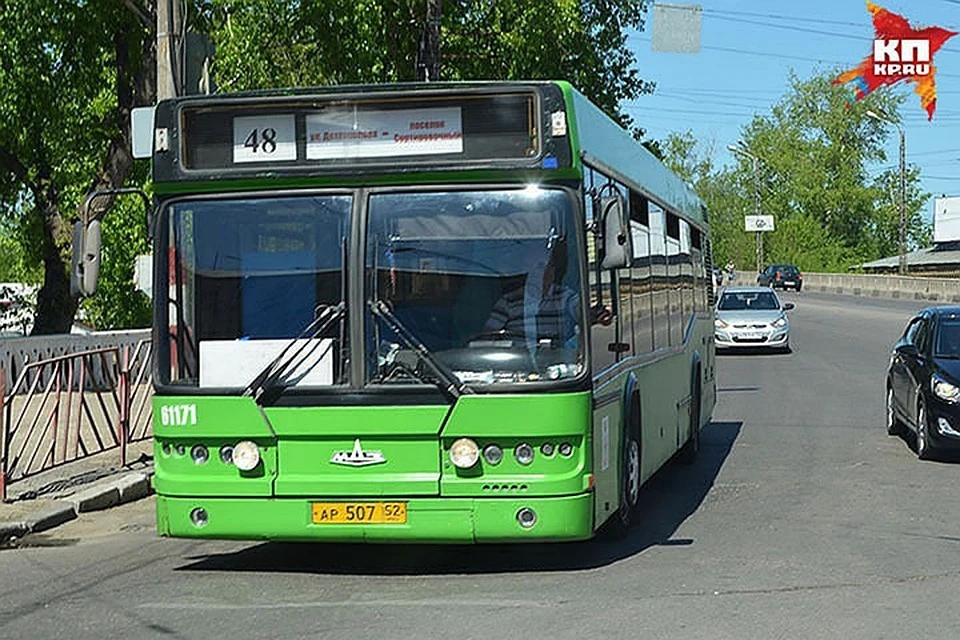 «Если вернуть штрафы за превышение скорости, то можно снизить число ...