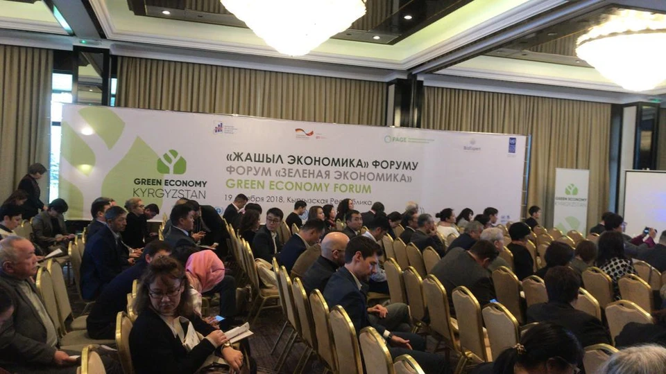 В Бишкеке проходит форум "Зеленая экономика".