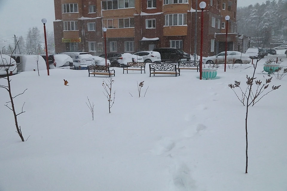 Вместе с зимой в Красноярск придут морозы до -28