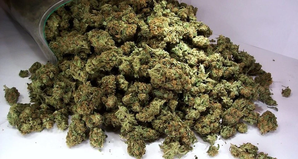 2 5 килограмма марихуаны заработок на тор браузере попасть на гидру