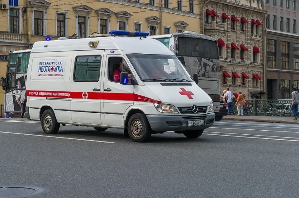 В Петербурге от свиного гриппа умер пациент Боткинской больницы.