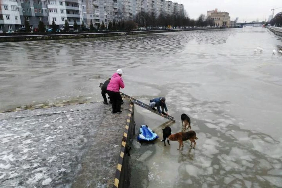 Спасательная операция возле Медового моста. Фото Сергея Кузнецова.