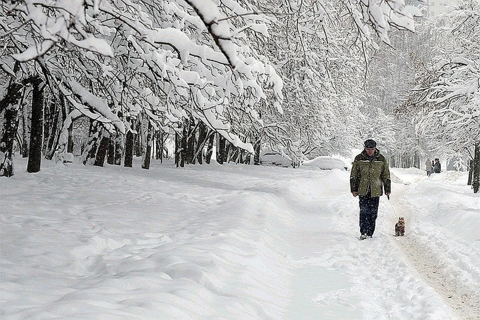 Как Центральная Россия пережила «снежный апокалипсис»