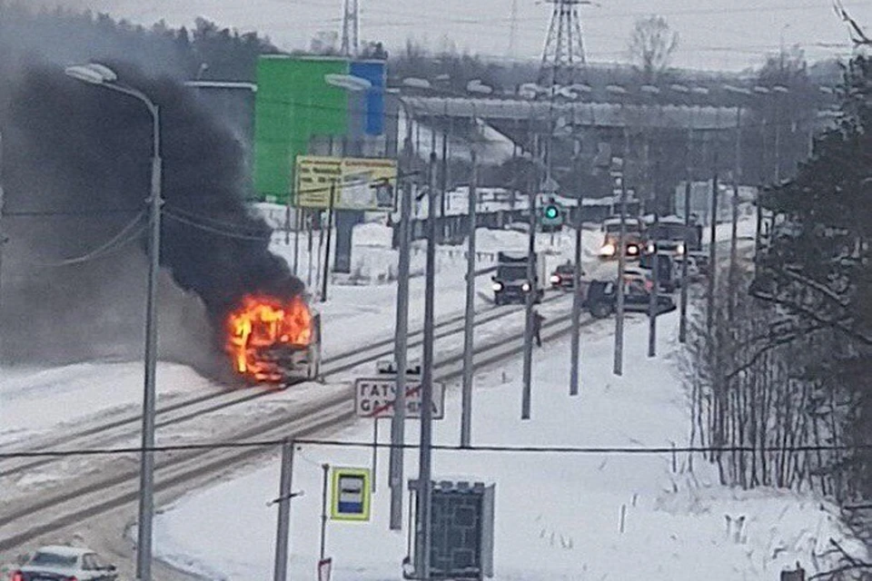 В Гатчине на Пушкинском шоссе сгорел 403-й автобус. Фото: vk.com/spb_today