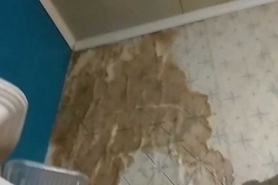 По всем стенам в квартире жительницы Петербурга течет вода Фото: стоп-кадр с видео