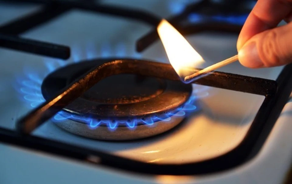 НАРЭ: Для роста тарифов на газ для потребителей пока нет причин