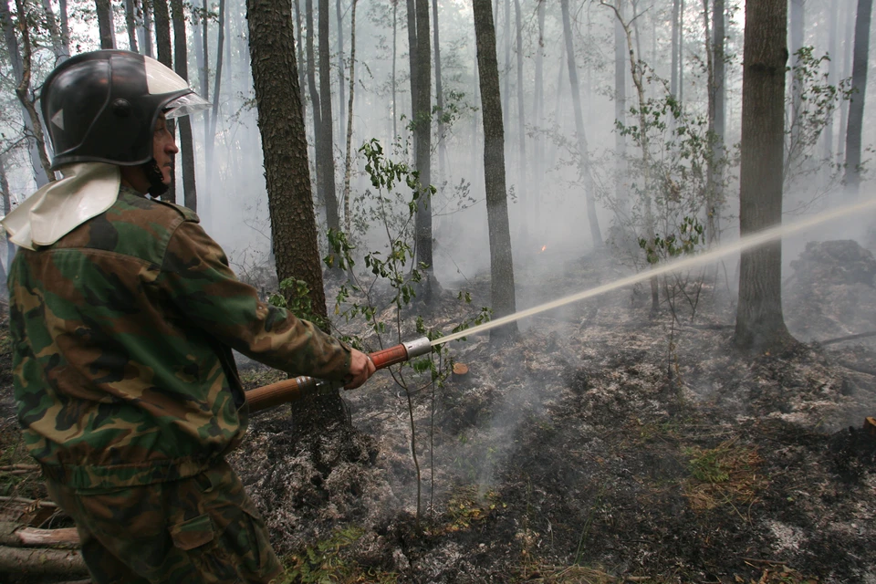 Значительный ущерб лесным ресурсам наносят пожары.