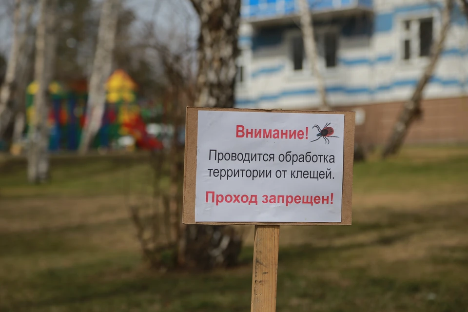 Весна - клещи уже проснулись в Ленинградской области.